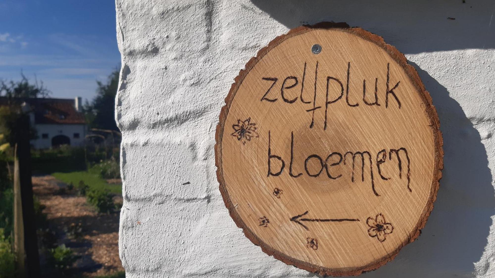 Zee-Van-Tijd Oudenburg Εξωτερικό φωτογραφία
